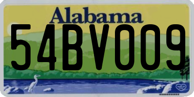 AL license plate 54BV009