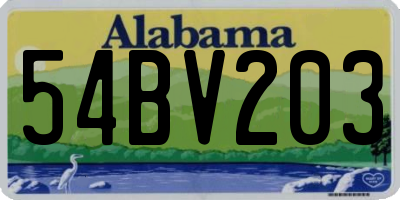 AL license plate 54BV203