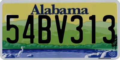 AL license plate 54BV313