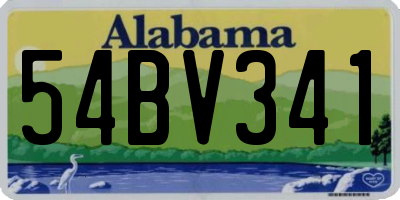 AL license plate 54BV341