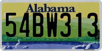 AL license plate 54BW313