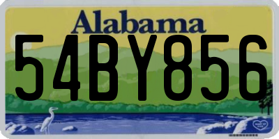 AL license plate 54BY856