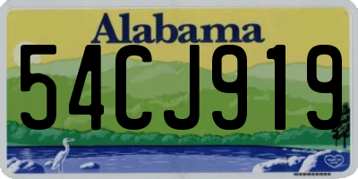 AL license plate 54CJ919
