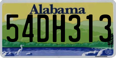 AL license plate 54DH313