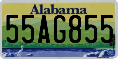 AL license plate 55AG855