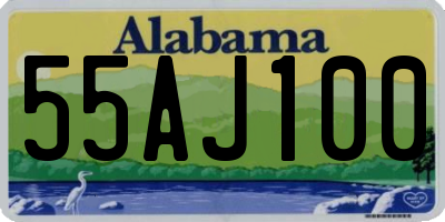 AL license plate 55AJ100
