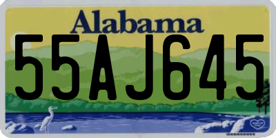 AL license plate 55AJ645