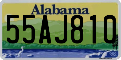 AL license plate 55AJ810
