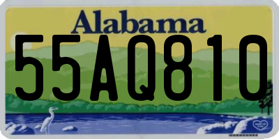 AL license plate 55AQ810