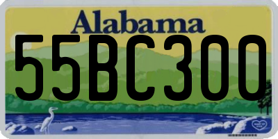 AL license plate 55BC300