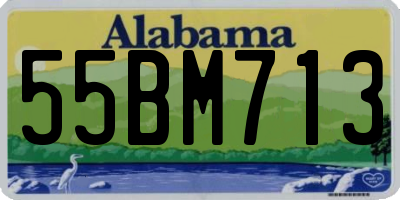 AL license plate 55BM713
