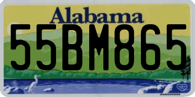 AL license plate 55BM865