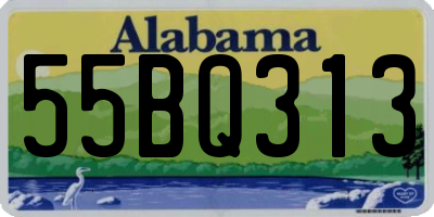 AL license plate 55BQ313