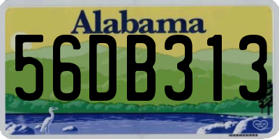 AL license plate 56DB313
