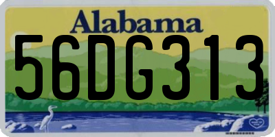 AL license plate 56DG313