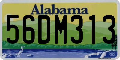 AL license plate 56DM313