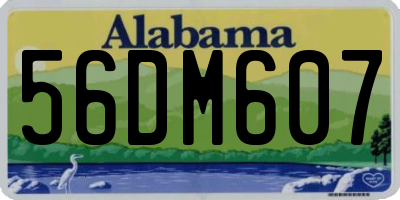 AL license plate 56DM607