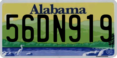 AL license plate 56DN919