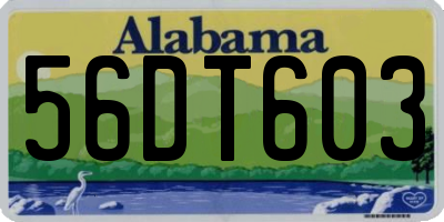 AL license plate 56DT603