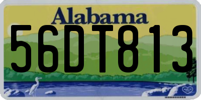 AL license plate 56DT813