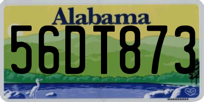 AL license plate 56DT873