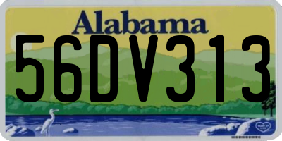 AL license plate 56DV313