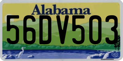AL license plate 56DV503
