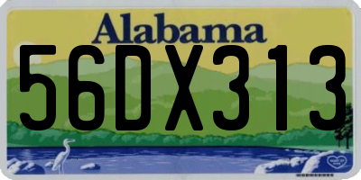 AL license plate 56DX313