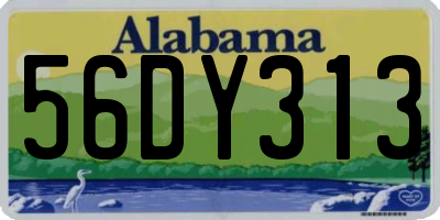 AL license plate 56DY313