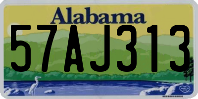AL license plate 57AJ313