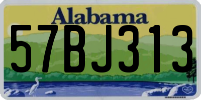 AL license plate 57BJ313