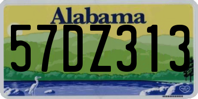 AL license plate 57DZ313
