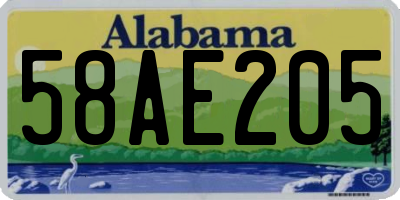 AL license plate 58AE205