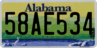 AL license plate 58AE534