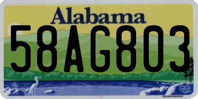 AL license plate 58AG803
