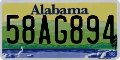 AL license plate 58AG894