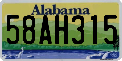 AL license plate 58AH315