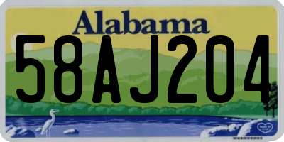 AL license plate 58AJ204
