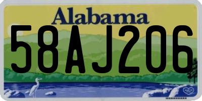 AL license plate 58AJ206