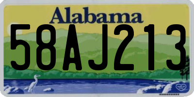 AL license plate 58AJ213