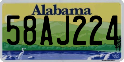 AL license plate 58AJ224