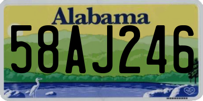 AL license plate 58AJ246