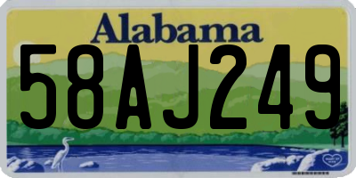 AL license plate 58AJ249
