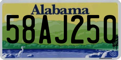 AL license plate 58AJ250