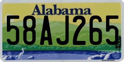 AL license plate 58AJ265