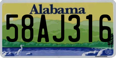 AL license plate 58AJ316