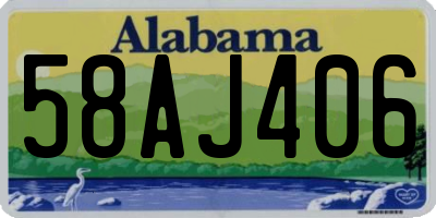 AL license plate 58AJ406