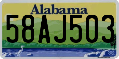 AL license plate 58AJ503