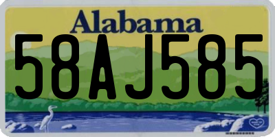 AL license plate 58AJ585