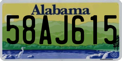 AL license plate 58AJ615